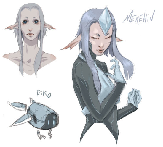 JDR Planche de Personnage : Merehin.jpg